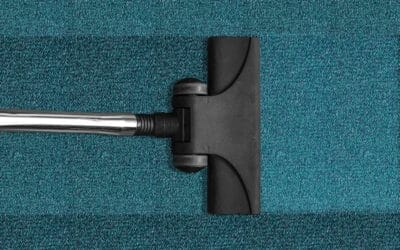 How Carpet Cleaning Can Improve Indoor Air Quality in Barnet Homes